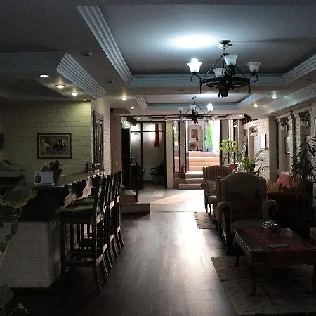 Vezir اسطنبول